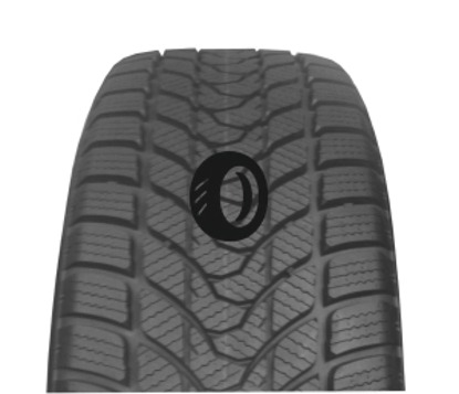 Foto pneumatico: DELINTE, WD1 205/60 R16 96H Invernali