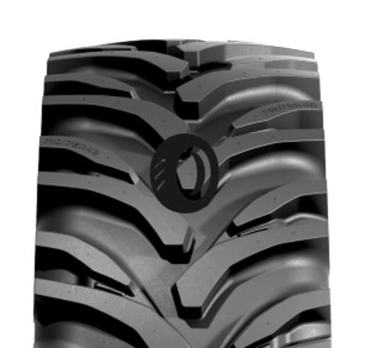 Foto pneumatico: NOKIAN, TRACTOR KING (R-1W) 600/65 R38 165D Estive