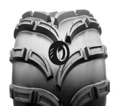 Foto pneumatico: SUN-F, A-028 7/ R10 35J Quattro-stagioni