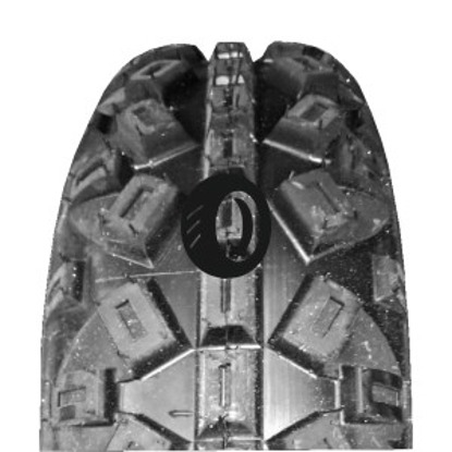 Foto pneumatico: SUN-F, A-035 FRONT 6/ R10 35N Quattro-stagioni