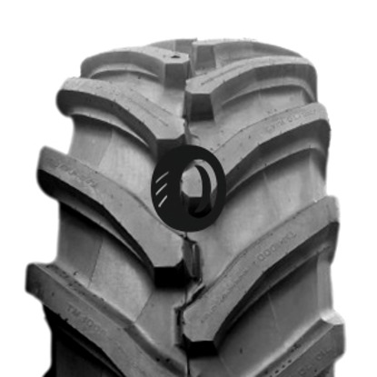 Foto pneumatico: TRELLEBORG, TM1000PT 600/70 R30 170D Estive
