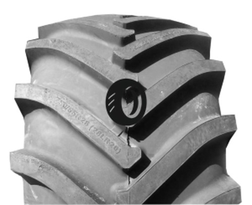 Foto pneumatico: ROSAVA, CM-102 750/65 R26 166A8 Estive