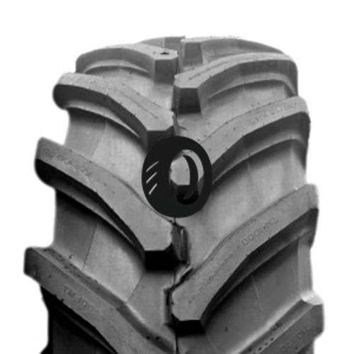Foto pneumatico: TRELLEBORG, TM1000PT 600/70 R30 170D Estive